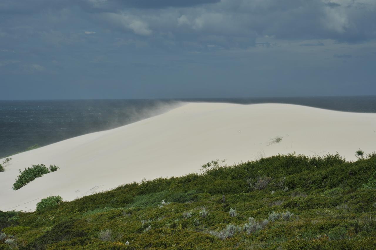 De Hoop Collection Suites De Hoop Nature Reserve Exterior photo